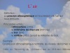 diapositive03