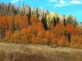 downloadgram.org_558674086_18535276363035874_4592958811568603458_n