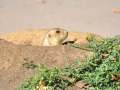 downloadgram.org_565403370_18538338535035874_9197730946132472725_n