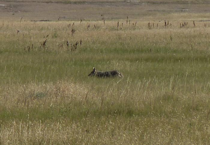 Capture d’écran 2016-07-21 à 03.02.26-s